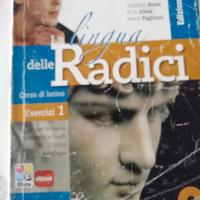 La lingua delle radici vol 1
