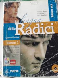La lingua delle radici vol 1