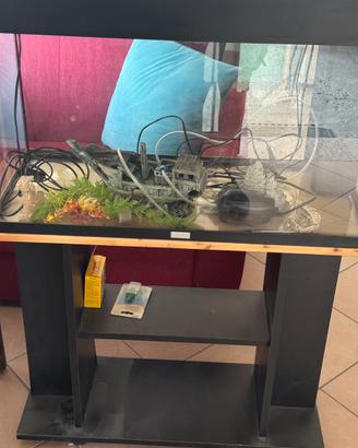 Acquario