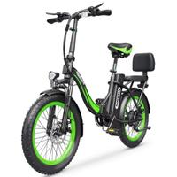 bicicletta elettrica 750W, pedalata assistita moto