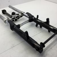 FORCELLA CON TRACCE DI RUGGINE SU STELI PARTE ALTA