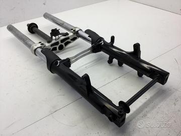 FORCELLA CON TRACCE DI RUGGINE SU STELI PARTE ALTA