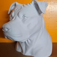 Busto pitbull 18cm