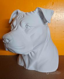 Busto pitbull 18cm