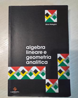 Algebra e geometria