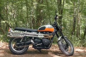 TRIUMPH  SCRAMBLER 900 EFI