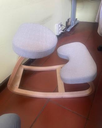 Sedia Ergonomica Posturale