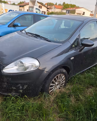 Fiat Punto Evo 1.3 Mjt 75 CV 5 porte Active