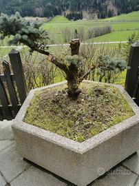 Manufatti in cemento 