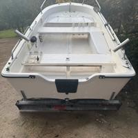 Barca planante + motore+carrello omologato