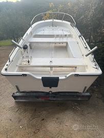 Barca planante + motore+carrello omologato