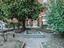Immagine 26