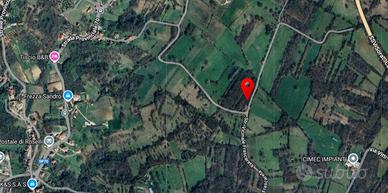 Terreno Agricolo a Casalvieri (Fr)