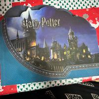 Harry Potter ESSELUNGA