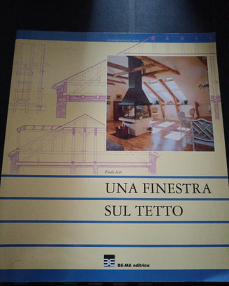 Una finestra sul tetto