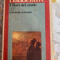 Libro “ i fiori del male”