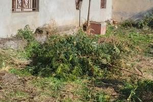 Vendita di terreno in via Pilati, s.n.c