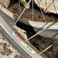 Set ruote MTB 26 Ritchey Vantage Sport