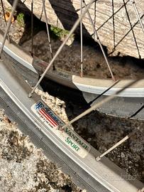 Set ruote MTB 26 Ritchey Vantage Sport