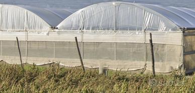 Terreno agricolo con impianto serricolo