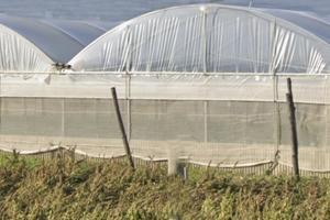 Terreno agricolo con impianto serricolo