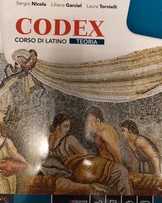 Codex teoria