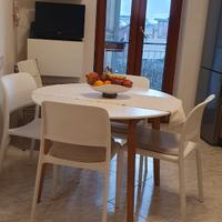 Sedie Nardi bianche nuove n.4