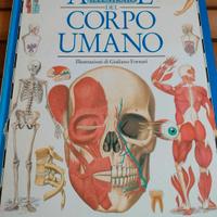 libro Atlante illustrato del corpo umano