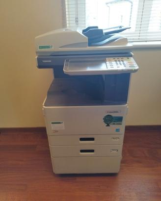 stampante professionale 