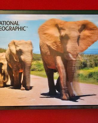 Puzzle prime3D National Geographic Elefanti