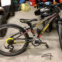 Mtb  bottecchia