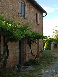 Casale uso esclusivo per gruppi famiglie