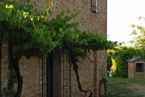 Casale uso esclusivo per gruppi famiglie