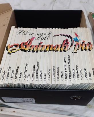 il libro segreto 