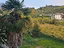 Immagine 11