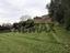 Immagine 25
