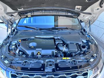 ROVER Altro modello - 2019