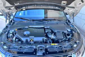 ROVER Altro modello - 2019