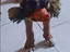 Immagine 4