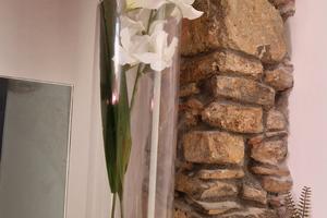 Il giardino nascosto ascea 27 /07 - 7 /08