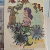 rara cartolina autografa decima flottiglia mas 