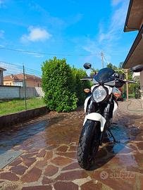 Suzuki Gladius 650