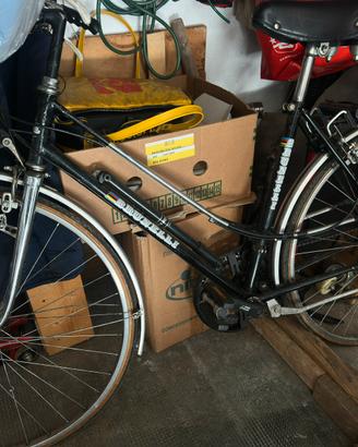 Bicicletta