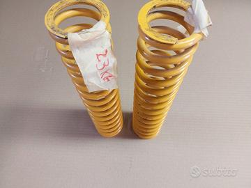 Molle Ammortizzatori Ohlins TTX