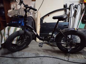 Bicicletta piegnevole