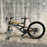 Bergamont Straintline 8.2