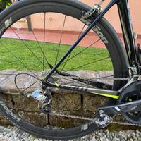 bici da corsa giant