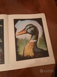 Libro vintage con modelli per disegno 