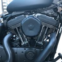 Harley Davidson Sportster 1200 Roadster