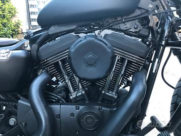 Harley Davidson Sportster 1200 Roadster